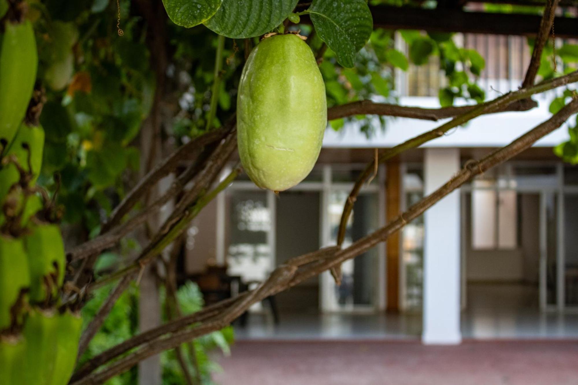 Volcano Hostal Y Restaurante San Salvador Ngoại thất bức ảnh