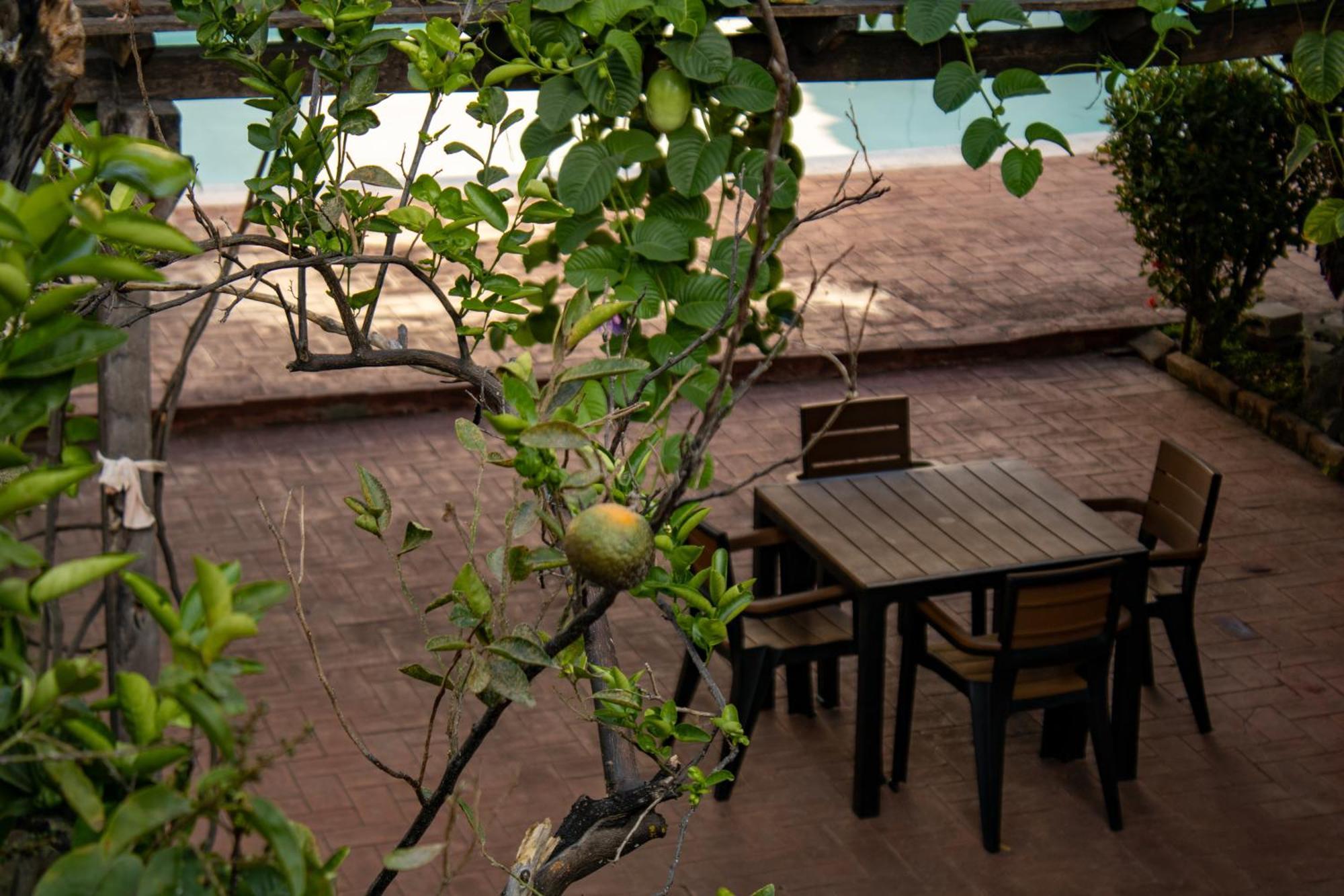Volcano Hostal Y Restaurante San Salvador Ngoại thất bức ảnh